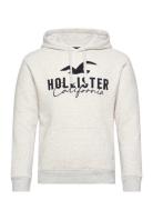 Hco. Guys Sweatshirts Tops Sweat-shirts & Hoodies Hoodies Grey Hollist...