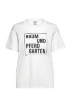 Baum Und Pferdgarten Jawo Vit