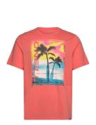 O'neill Jack O'neill Neon T-Shirt Korall