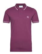 Tipping Slim Polo Tops Polos Short-sleeved Purple Calvin Klein Jeans