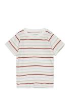 Fixoni T-Shirt Ss Rib Multi/patterned