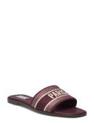 Steve Madden Knox Sandal Burgundy