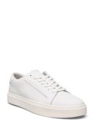 Calvin Klein Low Top Lace Up Lth Vit