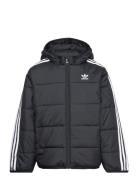 Adidas Originals Padded Jacket Svart