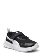 PUMA Puma Evolve Run Mesh Ac+ Inf Svart