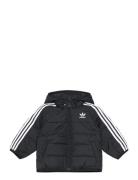 Adidas Originals Padded Jacket Svart