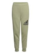 Adidas Sportswear U Bl Pant Khaki Green