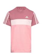 Adidas Sportswear Lk 3S Tib T Rosa