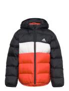 Adidas Sportswear Lk Sd Jkt Svart