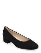 Gabor Pumps Svart