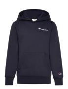 Champion Hooded Sweatshirt Marinblå