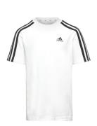 Adidas Sportswear U 3S Tee Vit