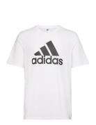 Adidas Sportswear Essentials Single Jersey Big Logo T-Shirt Vit