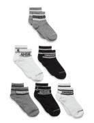 Converse Converse Basic Wordamark Crew Socks 6-Pack Svart