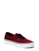 VANS Ua Authentic Burgundy