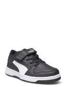 PUMA Puma Rebound Layup Lo Sl V Ps Svart