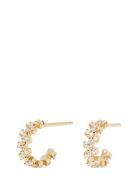 PD Paola Little Crown Earrings Guld