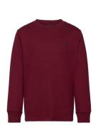 Ralph Lauren Kids Cotton Jersey Long-Sleeve Tee Burgundy