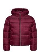 Calvin Klein Logo Aop Puffer Jacket Röd