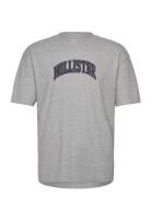 Hollister Hco. Guys Graphics Grå