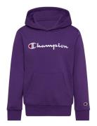 Champion Hooded Sweatshirt Lila