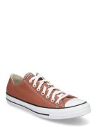 Converse Chuck Taylor All Star Brun