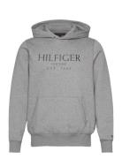 Tommy Hilfiger Big Hilfiger Hoody Grå