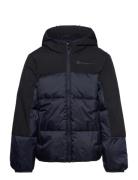 Champion Hooded Jacket Marinblå