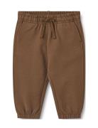 Wheat Sweatpants Cruz Brun