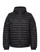 Timberland Axis Peak Durable Water Repellent Hooded Jacket Black Svart