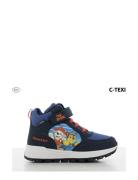 Paw Patrol Paw Patrol High Sneaker Marinblå