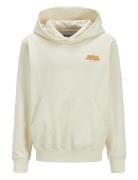 Jack & J S Jorroxbury Back Sweat Hood Ln Jnr Kräm