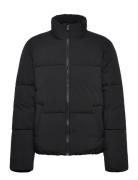 Tom Tailor Puffer Jacket Svart