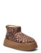 Steve Madden Campfire Bootie Brun