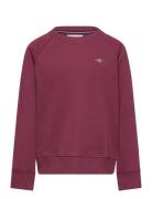 GANT Shield C-Neck Burgundy