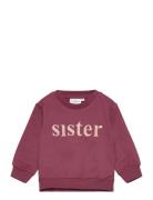 The New Tnsmolly Sweatshirt Burgundy