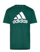 Adidas Sportswear U Bl Tee Grön