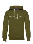 Tommy Hilfiger Tommy Logo Hoody Grön