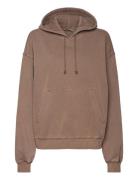 Weekday Standard Hoodie Beige