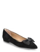 Lauren Ralph Lauren Londyn Bow-Trim Suede Ballet Flat Svart