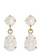 Caroline Svedbom Mini Drop Earrings Guld