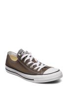 Converse Ct A/S Seasnl Ox Charcoal Brun