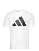 Adidas Sportswear Lk Bl Tee 160 Vit