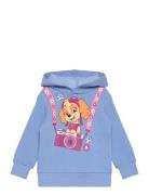 Paw Patrol Sweats Blå