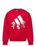 Adidas Sportswear Lk Dy Mm Swt Röd