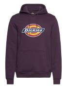 Dickies Icon Logo Hoodie Lila