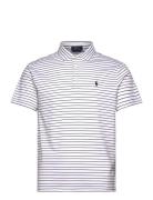 Polo Ralph Lauren Custom Slim Fit Striped Soft Cotton Polo Vit