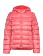 Champion Hooded Polyfilled Jacket Rosa