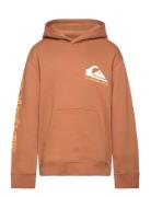 Quiksilver Omni Logo Hoodie Youth Brun