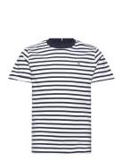 Tommy Hilfiger Essential Cotton Reg Fit Tee Ss Marinblå